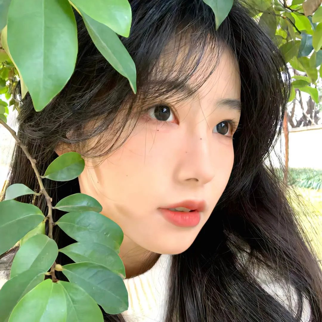 不法之徒