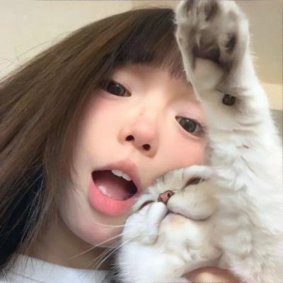 猫头鹰之森